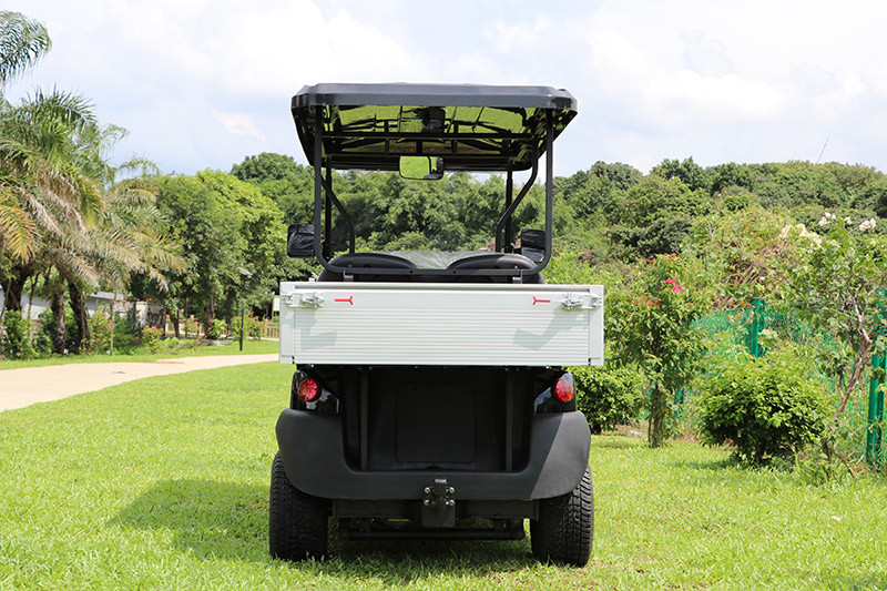4 Seater Electric Golf Cart With Rear Small Cargo CE Approved