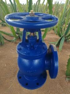 Quality ANSI angle valve wholesale