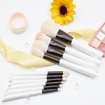 10PCS Multifunctional Goat Hair Makeup Brush Set 19*4cm