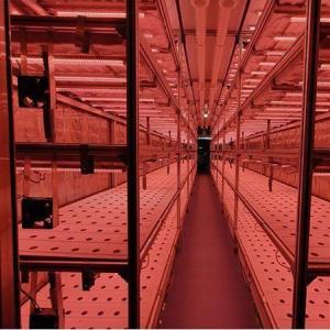 Quality Vertical Farming Container Greenhouse In Shipping Container Design wholesale