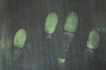 C115 Yellow fluorescent magnetic fingerprint powder