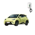 405KM Long Range Energy Car EV BYD Seagull 2024 Flying Edition Battery Capacity