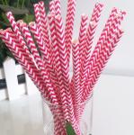 Merry Christmas paper straws party chervon paper straws