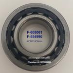 F-608061/F-554990 24x50x14/16mm Cylindrical Roller Bearings for Vehicle Drive