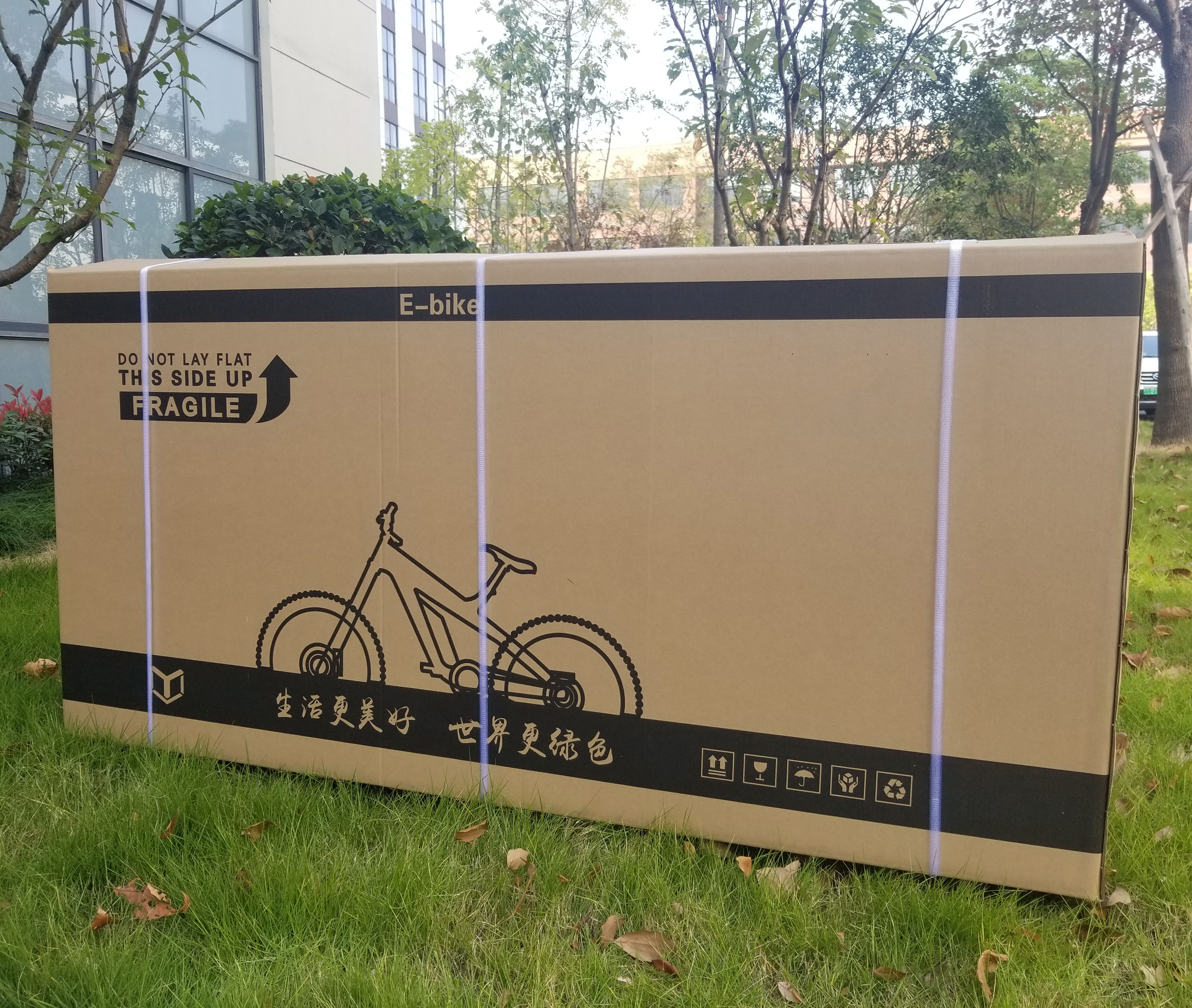 Domanca Carbon Fiber Fat Tire Electric Bike Off eBike 750w with JELLY POWER Battery