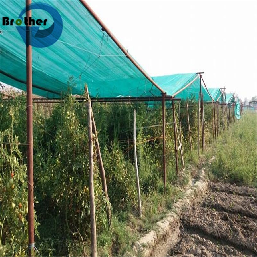 Customizable Designed Net Wrap HDPE Biodegradable Agriculture Hay Baler Net Wrap