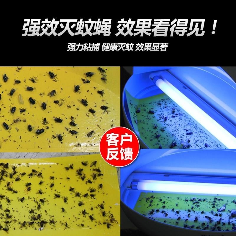 Home Use Radiation-free Flies insect glue trap Zapper Sticky trap with 2-Tube UV LED Electric Mosquito Killer Lamp