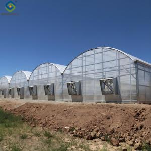 Quality Multi Wall Polycarbonate Gothic Style Greenhouse With Hollow Sheet wholesale