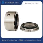 Bergman OEM W01 W02 W03 Rotor pump Sanitary Pumps Food Pumps Seals Mechanical
