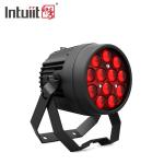 12x10W Powerful Disco Lights DMX 512 Sound Activated LED Par Can Stage Lights