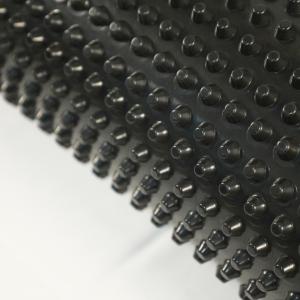 Quality HDPE Geomembrane Drainage Board Plastic Dimple Sheet Drainage Membrane wholesale