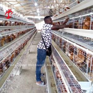 Quality Laying Hens 256 Birds Battery Cage Poultry Farming In Zambia Sandy wholesale