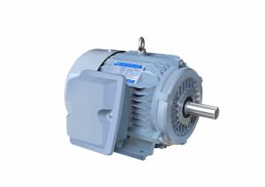 Quality Marine Special Electric Motors Three Phase High Efficient CE IP66 wholesale