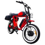 20 Inch Dual Motor Electric Bicycle 7 Speed Full Color Display Fat Tyre Electric