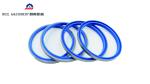 Blue DBKI Silicone FFKM TC O Ring Oil Seal High Temperature Resistant