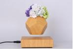 360 rotating magnetic floating levitation green air bonsai plant flowerpot