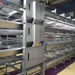 Chicken Raising Automatic Poultry Cage , Battery Chicken Cages For Laying Eggs