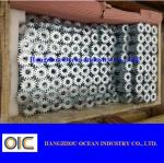 Standard Steel Pinion Spur Gear
