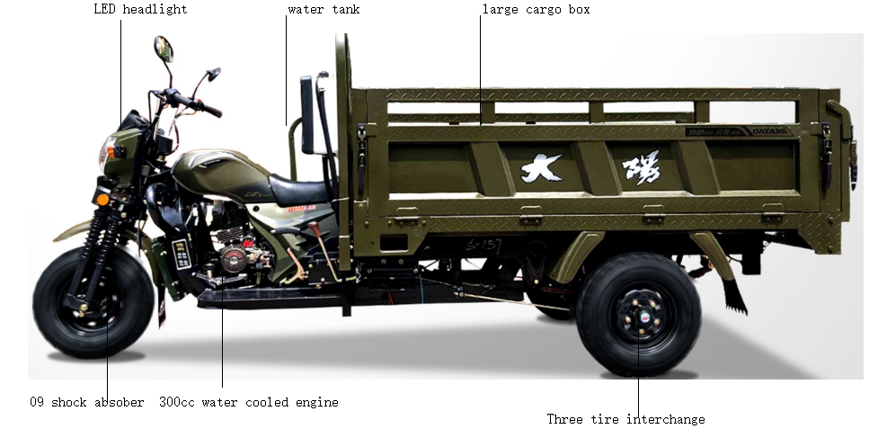 300cc Rear axle Floating Booster King 2000Kg High Capacity Three Wheel Cargo Motorcycle