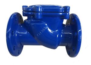 Quality dn100 pn16 ggg50 din check valve wholesale