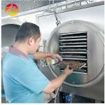 High Capacity Industrial Lyophilizer Freeze Dryer for Food Fruit Vegetable Meat
