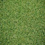 Artificial Grass carpet Waterproof Sports Flooring Golf Grass