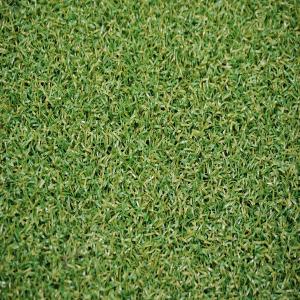 Quality Artificial Grass carpet Waterproof Sports Flooring Golf Grass wholesale