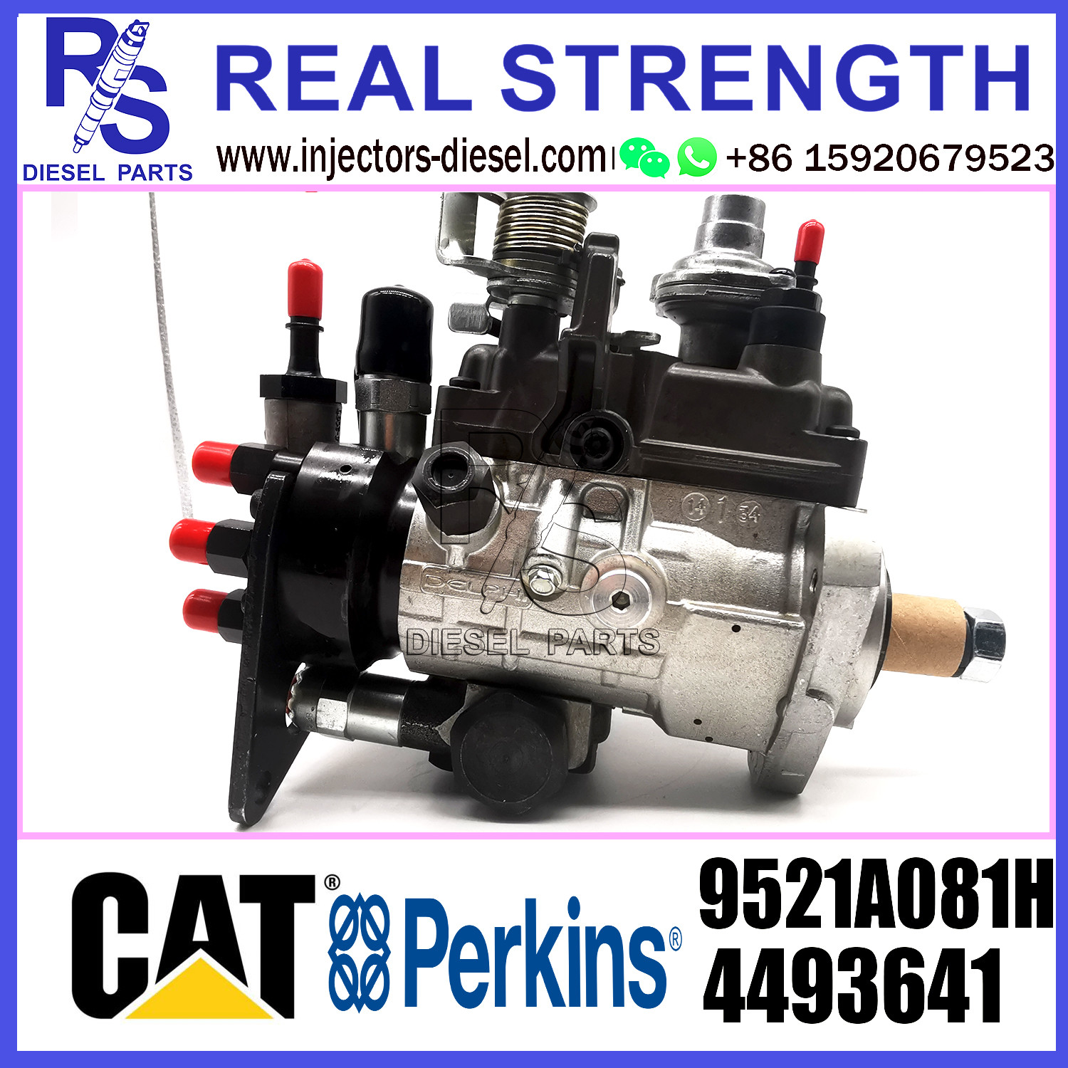 DELPHI 6-cylinder Diesel Fuel Injector Pump assembly 4493641 9521A081H for Perkins engine