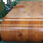 JIS Color Coated PPGL Coil 600mm-1500mm 1000-12000mm