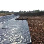High Tensile Strength 1.5mm HDPE Geomembrane Liner for Landfill Dam Fish Farm
