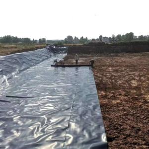 Quality Industrial Design Style Geomembranes for 2mm Landfill Biodigester HDPE FISH POND LINER wholesale
