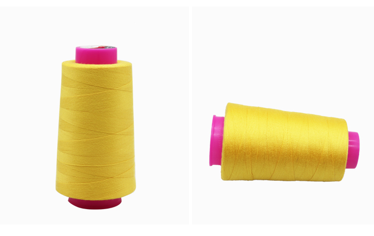100% Polyester Sewing Thread 40/2 for Chemical Resistance and 7 Days Sample Order Lead Time