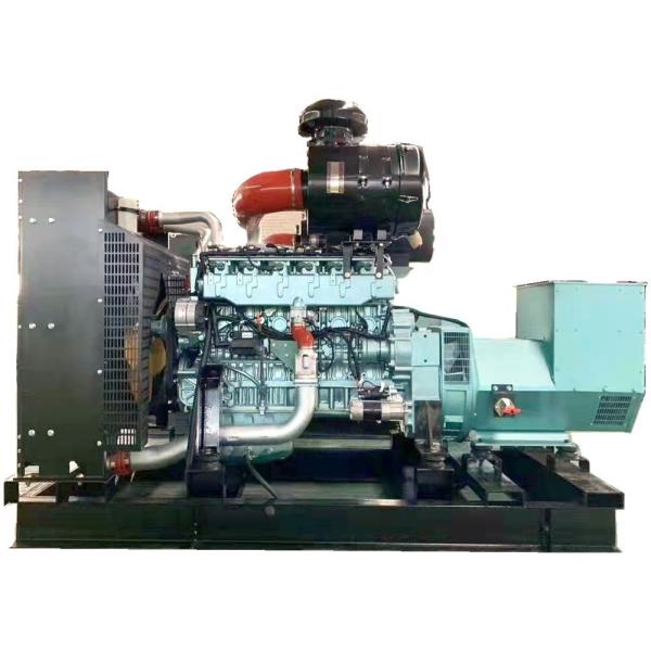 200KW 250kw Farm Animal Waste Biogas Generator Power Plant for Methane Gas