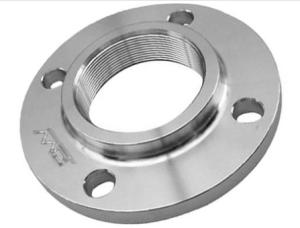 Quality ANSI DN6 Female Thread Stainless Steel Pipe Flanges And Sliver Flange wholesale