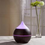 Chestnut Shape Air Mist Oil Wood Grain 200ml Bluetooth Aroma Diffuser