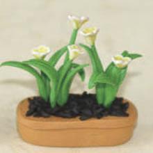 Quality Model Ceramic pot Flower CF42 wholesale