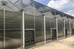 UV Resistant Twin Wall Polycarbonate Greenhouse Modern Farms Greenhouse