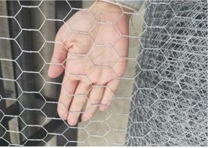 Quality 3/4 Inch 19mm Galvanised Hexagonal Wire Netting wholesale