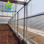 ODM Transparent Polycarbonate Plastic Film Greenhouse Side Top Ventilation