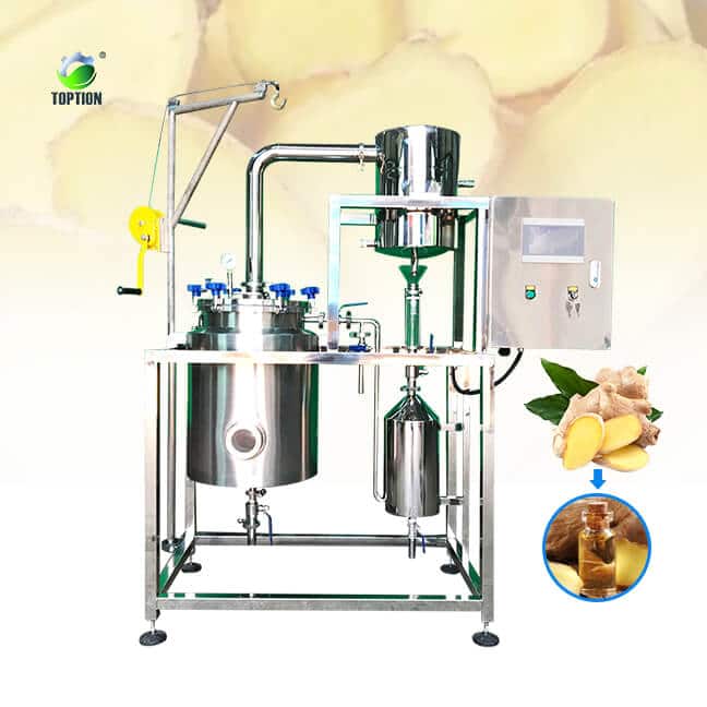 Ginger Essential Oil Extract (2)