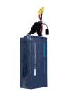 6S 22000Mah LiHv Soft Pack Herewin Battery 22.8V For Agricultural UAV