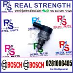 BOSCH Control Valve 0281006405 DRV Regulator Solenoid 0281006405 Applicable to
