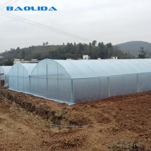 Quality Baolida Multi Span Plastic Film Greenhouses With Hot Dipped Galvanized Frame wholesale