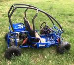 Off Road 182lbs Kids Big Horn 70cc PDI Go Kart Buggy