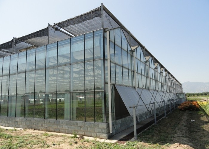 Tomato Cucumber Lettuce Greenhouse System Venlo Agriculture With Cooling Fan Pad