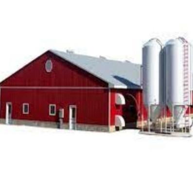Economical Light Steel House Construction Customized Steel Structure Shed