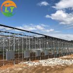 Glass for Outdoors Greenhouses Large Size and Hydroponic Nursery Sponge