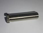 TL7101 Stainless Steel Screws OEM Supplier