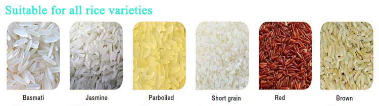 ISO Approved CCD256 256 Channels Hefei Rice Color Sorter High Accuracy