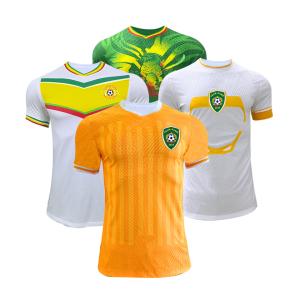 Quality 2023-2024 Africa Cup Jersey Lightweight Twill / Plain Pattern Soccer Team Jersey wholesale